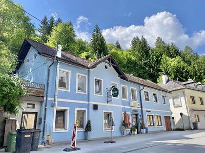 Häuser in 8900 Selzthal