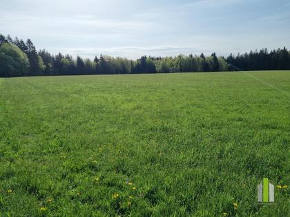 Grundstücke in 5162 Obertrum am See
