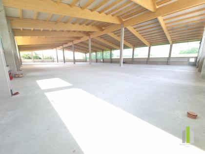 Hallen / Lager / Produktion in 5202 Neumarkt am Wallersee