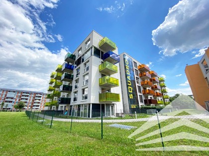 Wohnungen in 4020 Friesenegg