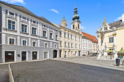 Häuser in 3500 Krems an der Donau