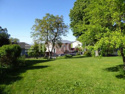 Grundstücke in 4600 Bergerndorf