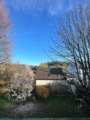 Grundstücke in 4600 Wels