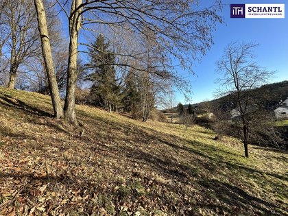 Grundstücke in 8072 Fernitz