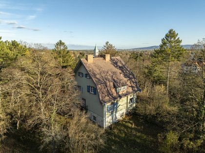 Häuser in 2721 Bad Fischau-Brunn