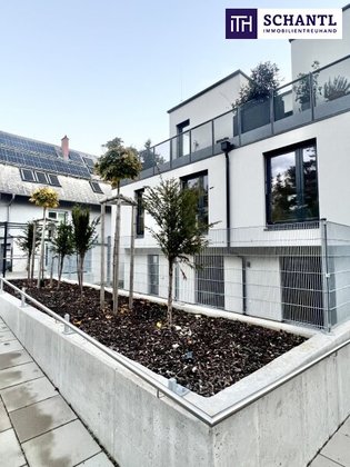 Wiener Weinberge vor der Tür ++ PROVISIONSFREI und SOFORT BEZUGSFERTIG ++ 2 Zimmer ++ Balkon ++ Perfekte Infrastruktur ++ Designbad ++ Durchdachter Grundriss ++ Klimatisiert ++ Hauseigene Tiefgarage Wiener Weinberge vor der Tür ++ PROVISIONSFREI und SOFORT BEZUGSFERTIG ++ 2 Zimmer ++ Balkon ++ Perfekte Infrastruktur ++ Designbad ++ Durchdachter Grundriss ++ Klimatisiert ++ Hauseigene Tiefgarage