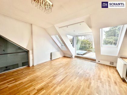 **LUXUS historische Villa in Gersthof** mit Großem Garten und Dachterrasse ++ Garage und Personenlift im Haus ++ Zinshaus ++ Zinsvilla **LUXUS historische Villa in Gersthof** mit Großem Garten und Dachterrasse ++ Garage und Personenlift im Haus ++ Zinshaus ++ Zinsvilla
