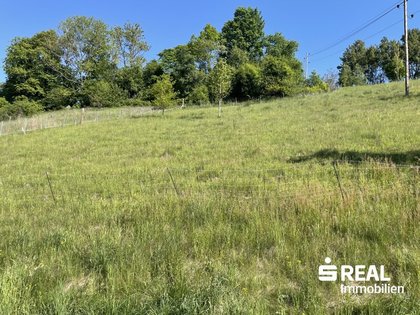 Grundstücke in 4204 Reichenau im Mühlkreis