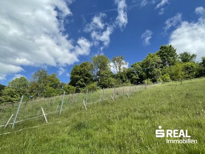 Grundstücke in 4204 Reichenau im Mühlkreis