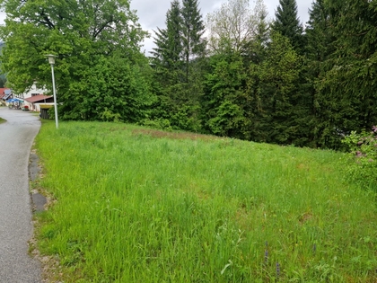Grundstücke in 8635 Gollrad