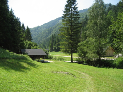 Grundstücke in 8635 Gollrad