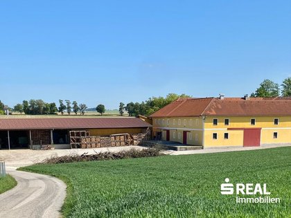 Hallen / Lager / Produktion in 4611 Buchkirchen