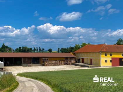 Hallen / Lager / Produktion in 4611 Buchkirchen