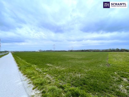 Grundstücke in 2435 Ebergassing