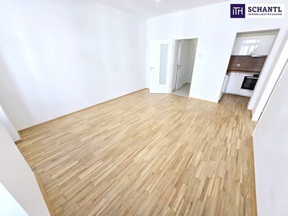 TOP Kleinwohnung in TOP Lage! Traumhaft saniertes Altbauhaus + Stylisches Stiegenhaus + Tolle Infrastruktur und Anbindung + Lebensqualität! Jetzt zugreifen! TOP Kleinwohnung in TOP Lage! Traumhaft saniertes Altbauhaus + Stylisches Stiegenhaus + Tolle Infrastruktur und Anbindung + Lebensqualität! Jetzt zugreifen!