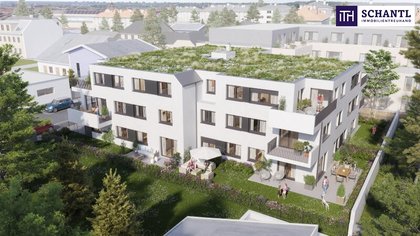 Wohnungen in 2320 Schwechat