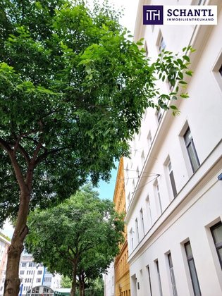 Stark reduziert! Selbst Gestalten - Sanierungsbedürftige Altbauwohnung! U-Bahn ums Eck + Traumhaft renoviertes Altbauhaus + Optimalste Infrastruktur und Anbindung! Worauf warten Sie noch? Stark reduziert! Selbst Gestalten - Sanierungsbedürftige Altbauwohnung! U-Bahn ums Eck + Traumhaft renoviertes Altbauhaus + Optimalste Infrastruktur und Anbindung! Worauf warten Sie noch?
