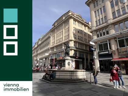 Büros /Praxen in 1010 Wien