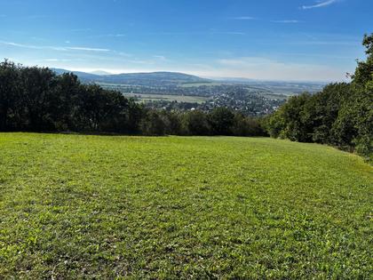 Land- / Forstwirtschaft in 3434 Tulbing