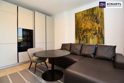 DESIGN-LUXUSAPARTMENT MIT ERLESENEM MOBILIAR! ERSTBEZUG NACH SANIERUNG! PARKPLATZ NEBEN LKH! Luxuriöses Interieur von SPÄTAUF Möbel, Design & Handwerk! DESIGN-LUXUSAPARTMENT MIT ERLESENEM MOBILIAR! ERSTBEZUG NACH SANIERUNG! PARKPLATZ NEBEN LKH! Luxuriöses Interieur von SPÄTAUF Möbel, Design & Handwerk!