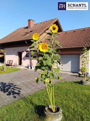 Häuser in 8431 Gralla