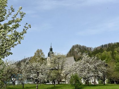 Grundstücke in 5440 Scheffau am Tennengebirge
