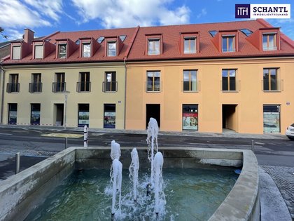 Büros /Praxen in 8330 Feldbach