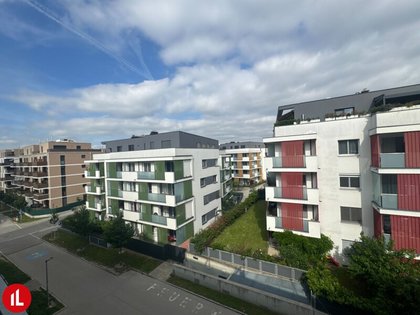 Hallen / Lager / Produktion in 2320 Schwechat