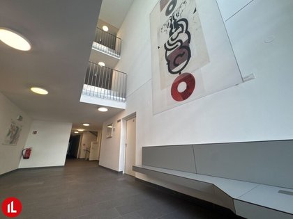 Hallen / Lager / Produktion in 2320 Schwechat