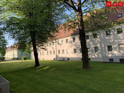 Wohnungen in 4400 Rosenegg