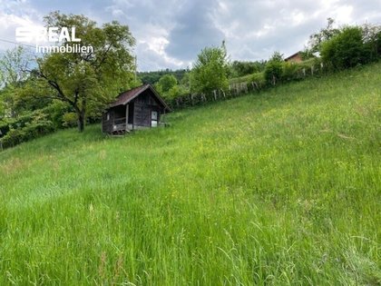 Grundstücke in 8160 Naas