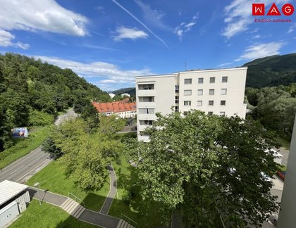 Wohnungen in 8700 Leitendorf