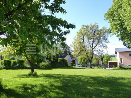Grundstücke in 4600 Bergerndorf