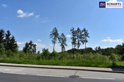 Grundstücke in 8301 Laßnitzhöhe