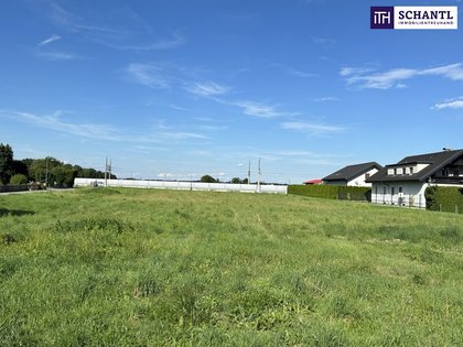 Grundstücke in 8430 Hasendorf an der Mur