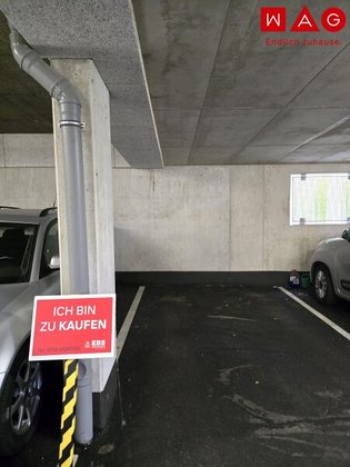 Sonstige in 4222 Sankt Georgen an der Gusen
