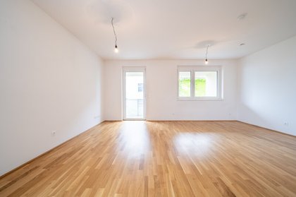 Wohnungen in 3250 Wieselburg-Land