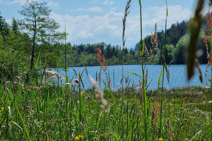 Häuser in 9220 Velden am Wörther See