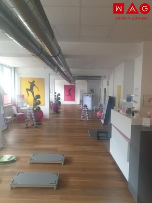 Büros /Praxen in 4020 Friesenegg