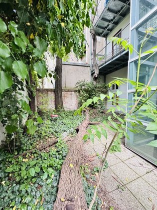 Hallen / Lager / Produktion in 1070 Wien