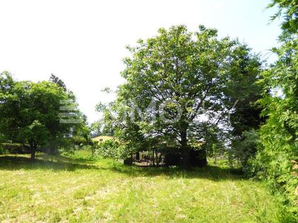 Grundstücke in 4073 Wilhering