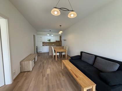 Wohnungen in 5760 Saalfelden am Steinernen Meer