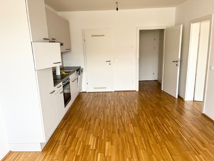 Tolle 2-Zimmer Wohnung- in der Nähe der FH-Joanneum- zu mieten - 8020 Graz Tolle 2-Zimmer Wohnung- in der Nähe der FH-Joanneum- zu mieten - 8020 Graz