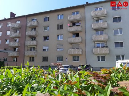 Wohnungen in 4400 Rosenegg