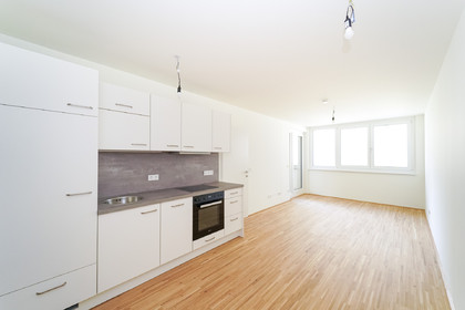 Wohnungen in 1020 Wien