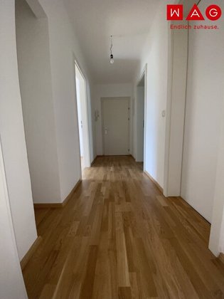 Wohnungen in 4400 Kleinraming