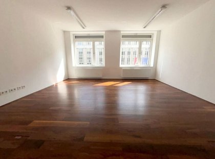 Büros /Praxen in 1010 Wien