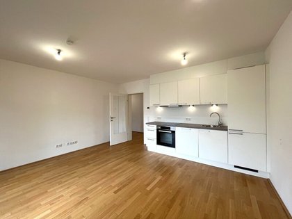 Wohnungen in 1060 Wien