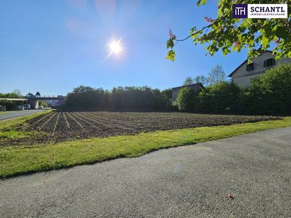 Grundstücke in 8510 Vochera am Weinberg