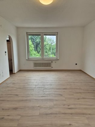 Wohnungen in 2620 Neunkirchen